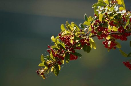 moviprep instructions for morning appointment