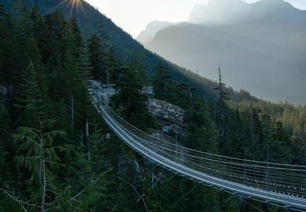 one-shot wonders pdf