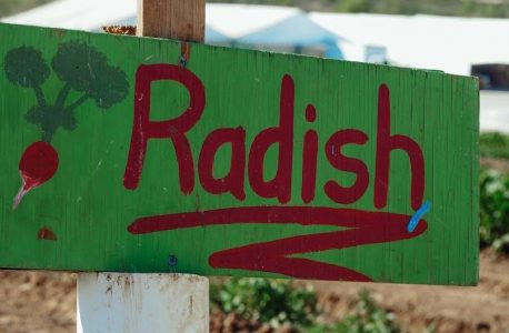 rustoleum farm and implement paint instructions